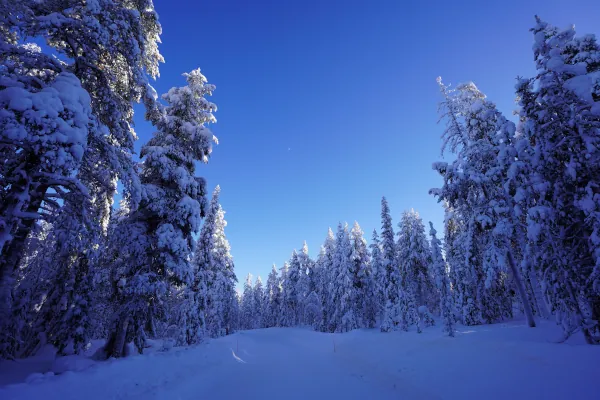 Lappland