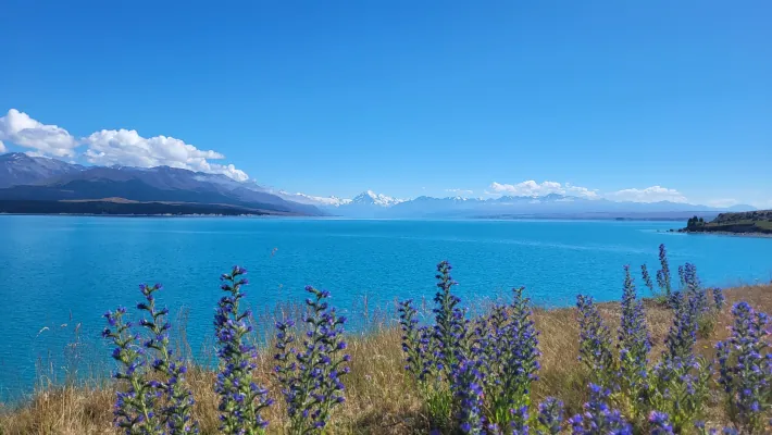 Neuseeland
