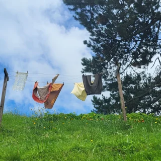 Neuseeland_Hobbiton02